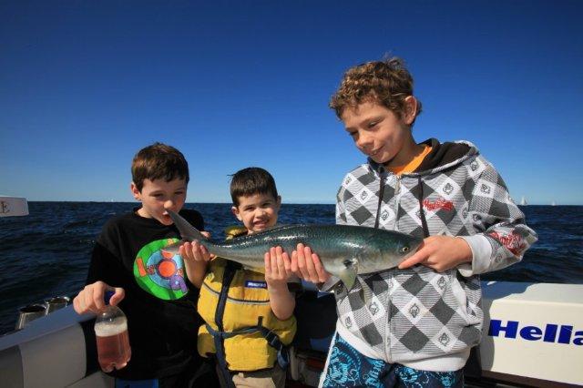 In 'Keep Australia Fishing' I made the economic case for angling and the ATA and Angling Trust are doing the same over here