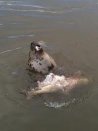 Bye bye barbel - Hello Keith