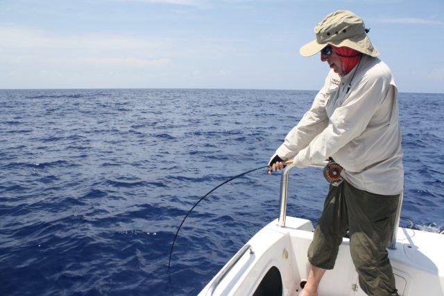 Not sure even a fly rod is supposed to bend this much on a fish