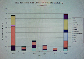 Where have all the roach gone ?