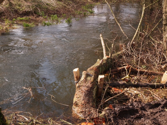 New habitat to provide cover and aid recruitment