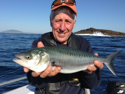 In Australia this fish is known as a salmon but in neighbouring New Zealand it's called a Kahawai - all very confusing!