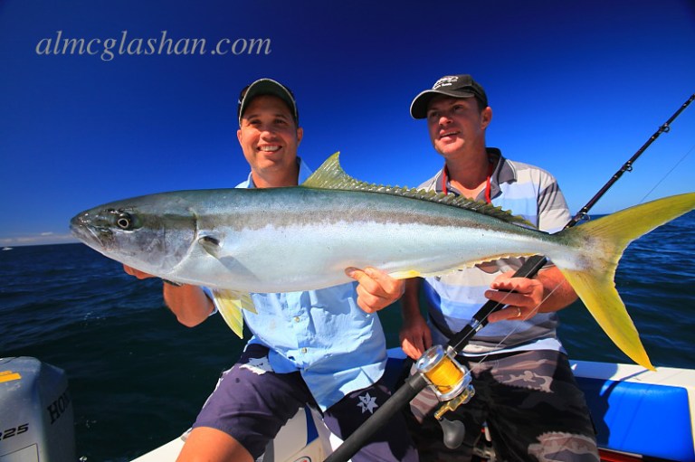 Yellowtail Kingfish - hardest fighting fish in the world IMHO