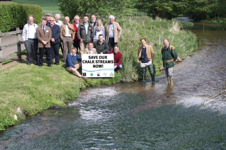 A healthier looking river Mimram just a few miles down the road