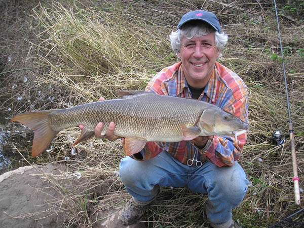 Are there any finer looking barbel around than these River Wye beauties ?