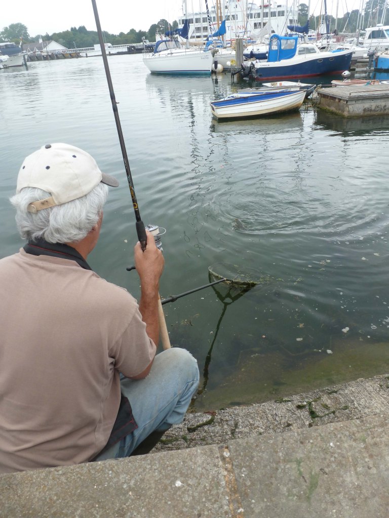 Mullet can take an age to come to the net and usually bolt off several times before succumbing 