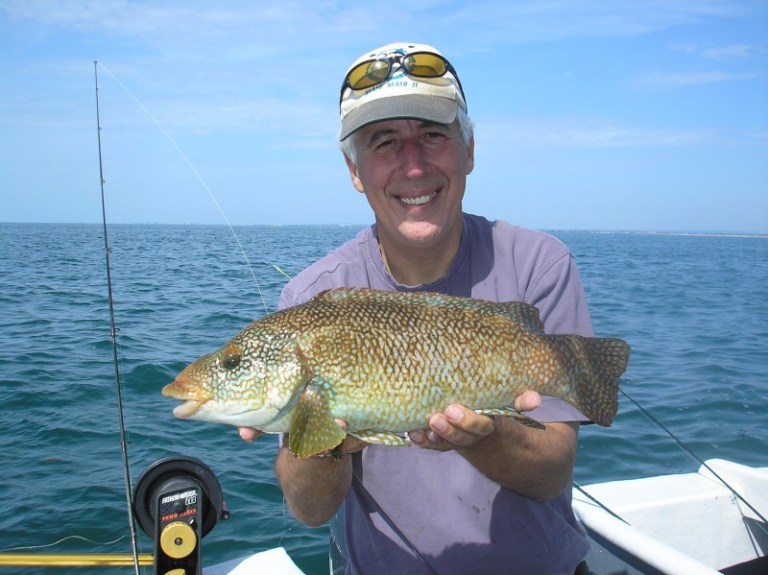 My best wrasse by some way. Definitely a fish that should be reserved for recreational fishing.