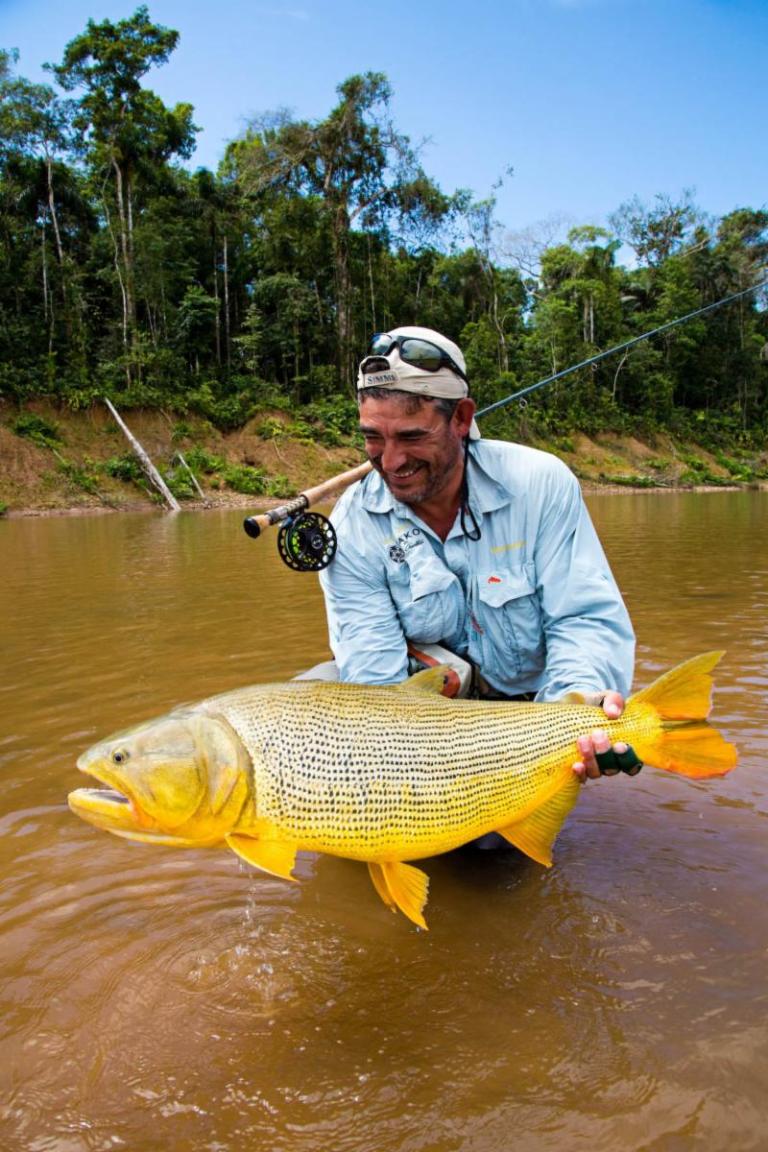 Matt Harris with a stunning looking fly caught golden dorado