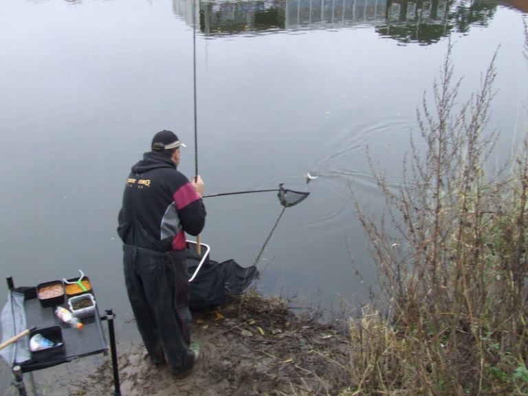 Great to see so many netable roach putting competitors in the frame