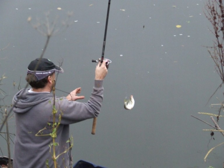 Silver fish were in abundance on many of the downstream pegs