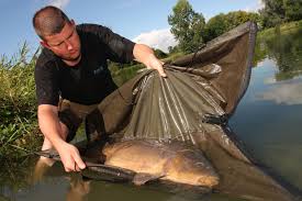 Fish welfare is now hardwired into most UK anglers. Not so everywhere else