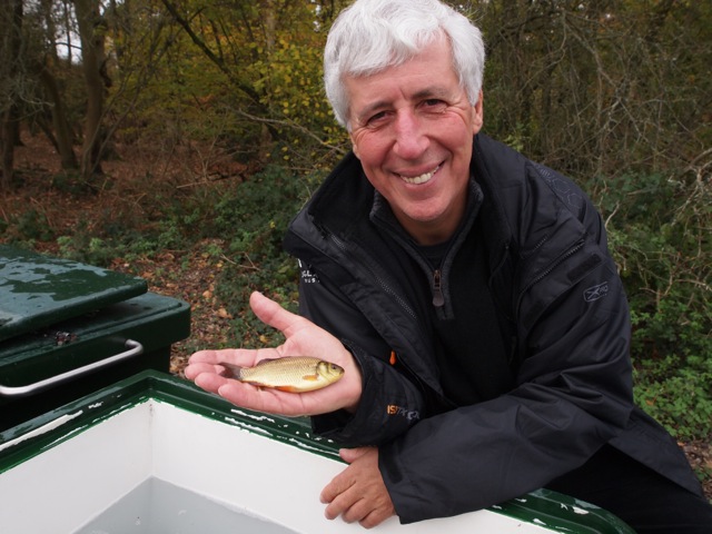 Crucian carp, the fish of the future, if I have my way!