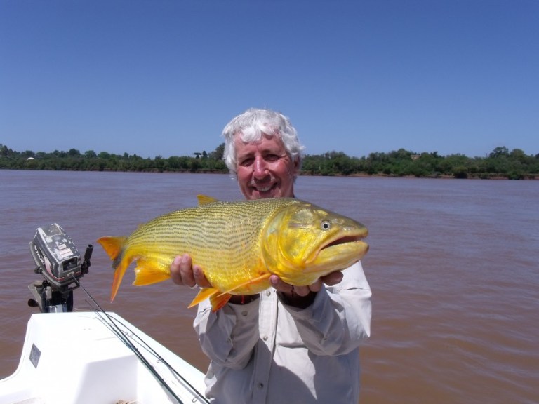 This beautiful bar of fishy gold is a Dorado but then so are many other species!