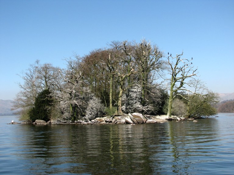  Dead trees and and a devastated fishery shows why we will never agree with the RSPB over cormorants but there's more issues that unite than  divide environmental groups from anglers argues Martin Salter
