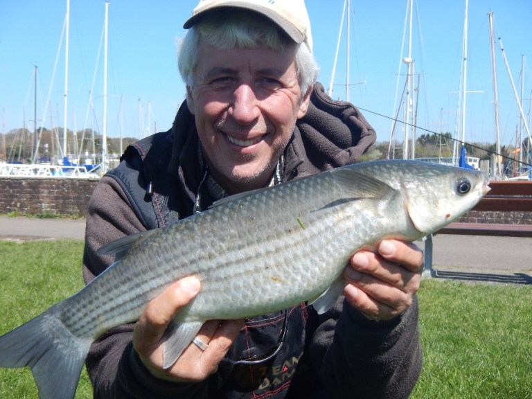 The first 'Grey Ghost' of 2014