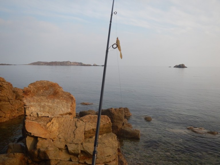The Sonik Travel Rod -rigged and ready in a minutes - and tough enough to to keep the decent wrasse out of the rocks