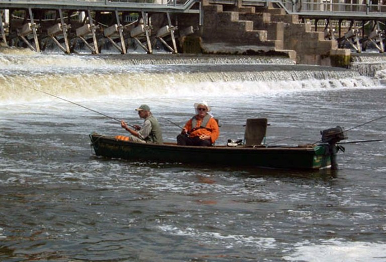 Chasing barbel for clients in Marlow weir
