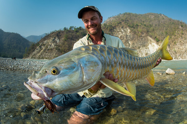 A golden mahseer like this from a remote Himalayan river is Martin's next target - but with the nearest tackle shop 500 miles away preparation is crucial