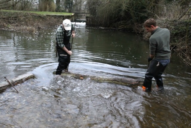 Creating a gravel riffle to aid spawning habitat on the recovering  River Blackwater