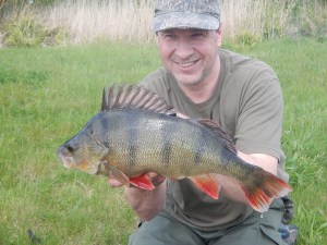 Big gravel pit perch always have such great colouring