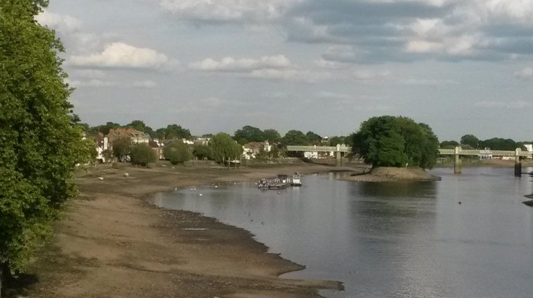 Strand on the Green looking downstream from Kew Bridge towards Oliver's Ait. This will be the venue for many of the activities at this year's TideFest