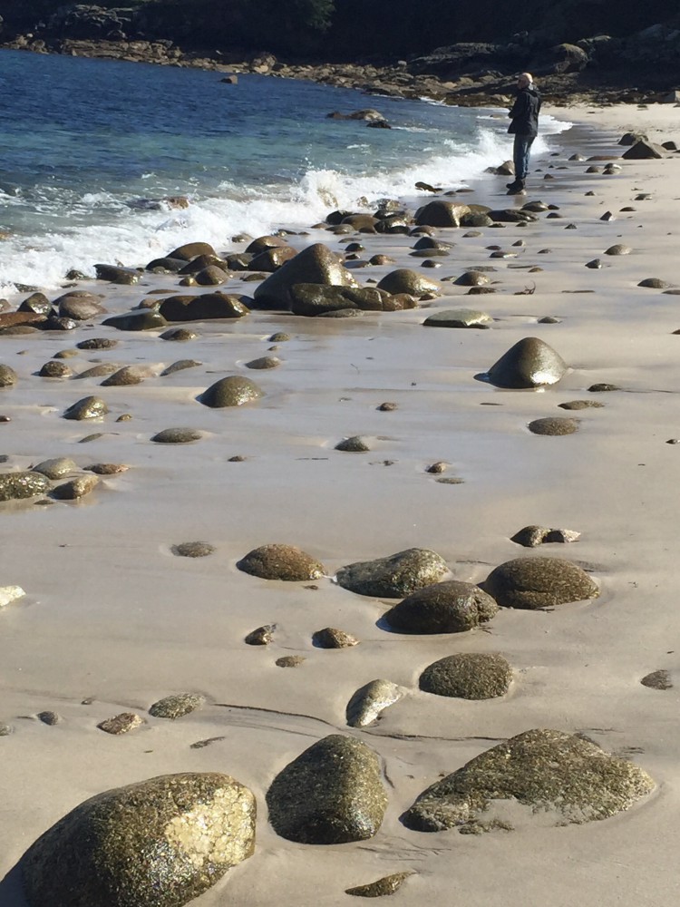 Beach fishing in the right place can produce some great sport with wrasse