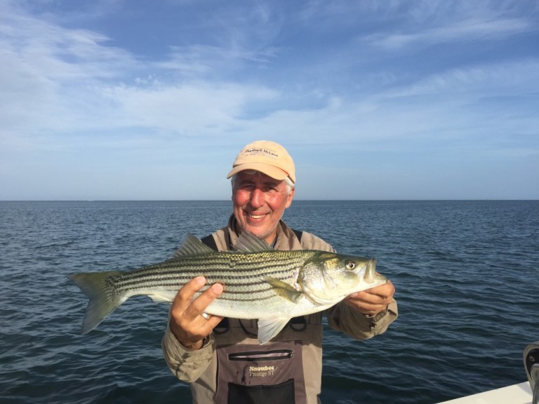 The recovery of the American Striped Bass shows what can be done with good conservation and sensible fishery management