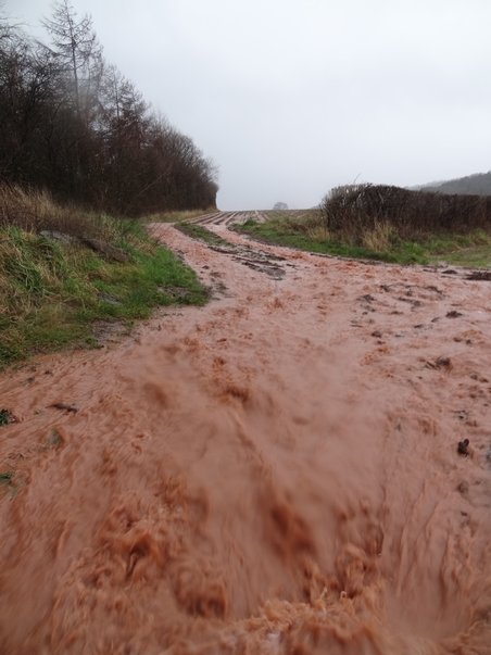 Soil erosion in the Wye Valley