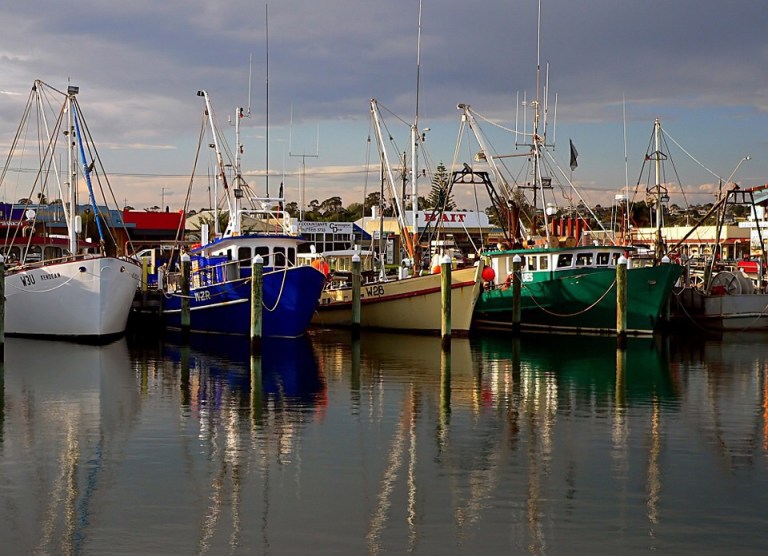 Commercial fisherman like to claim they are feeding the nation but In fact the UK fleet exports 45% of its catch. 80% of that quantity goes to EU countries. For example 90% of fish landed in Ramsgate are sold in the Boulogne Fish Market