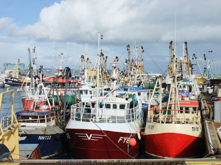 UK fishing vessels have rights within the 6-12 mile limit of four other EU member states: Ireland, Germany, France and the Netherlands. Trawlers out of Brixham exploit the valuable scallop stocks in the Baie de Seine. Trawlers out of Peterhead fish in Dutch and German waters. It is important to note that the UK is allocated about 30% of the EU’s total catch even though it has only 13% of the total sea area. 