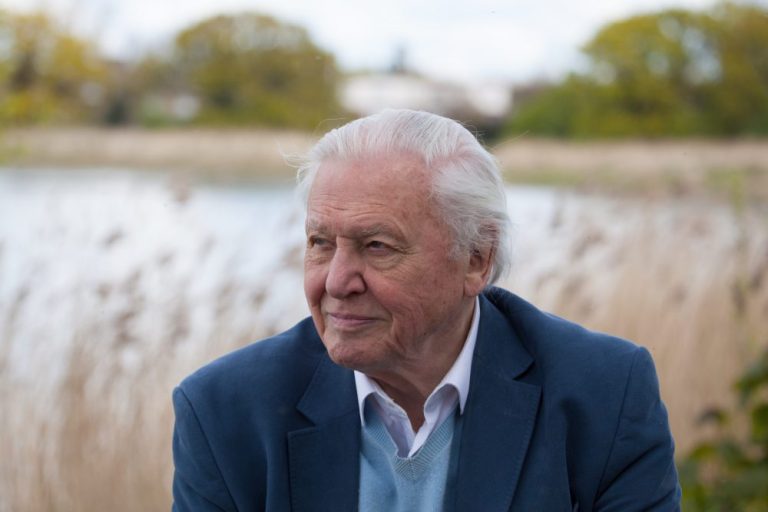 Sir David Attenborough at the opening of the Woodberry Wetlands in London