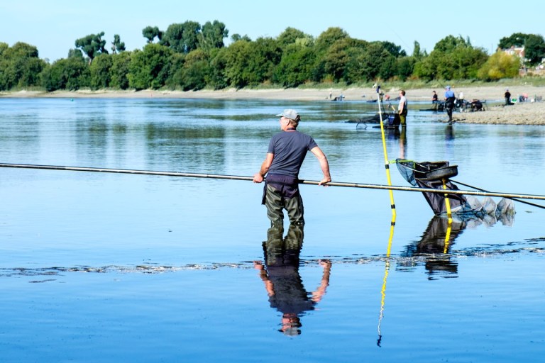 The tidal Thames - superb fishing in the heart of London
