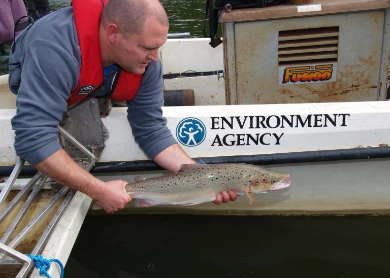 Salmon And sea trout can now be found in the river along with zander and even grayling.