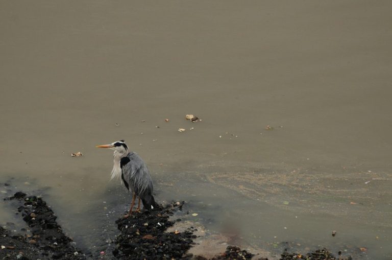 The Thames Tunnel will stop millions of tonnes of storm sewage overflowing into he tidal river