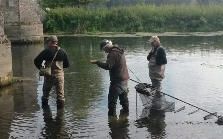 Three MPs (one retired), a bridge and a shoal of chub. What could possibly go wrong!