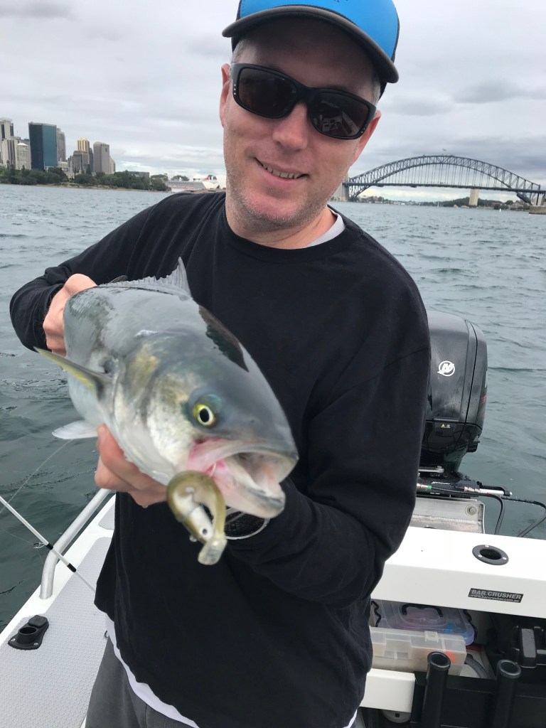 25393E1B-5A10-432D-B5AC-E77B926C5997