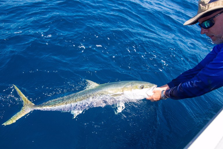 3FD7E879-A061-44EA-871B-AD55E185F07C