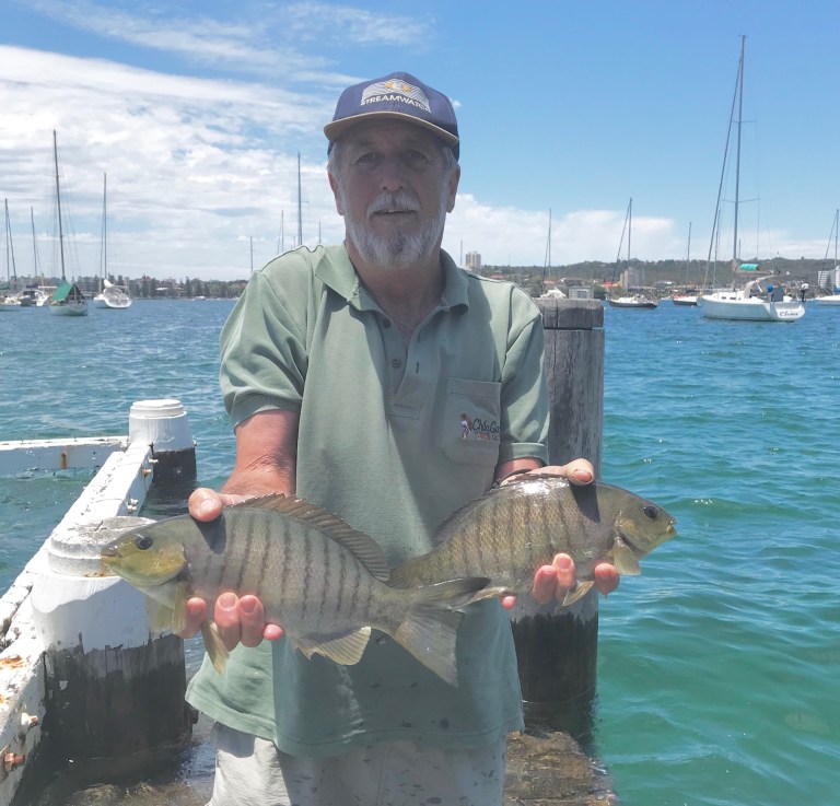 566FD666-25E7-47A9-AAEC-EE8CBC8B942A